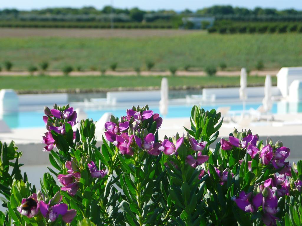 Masseria Bagnara Resort & Spa Marina di Lizzano Exteriör bild