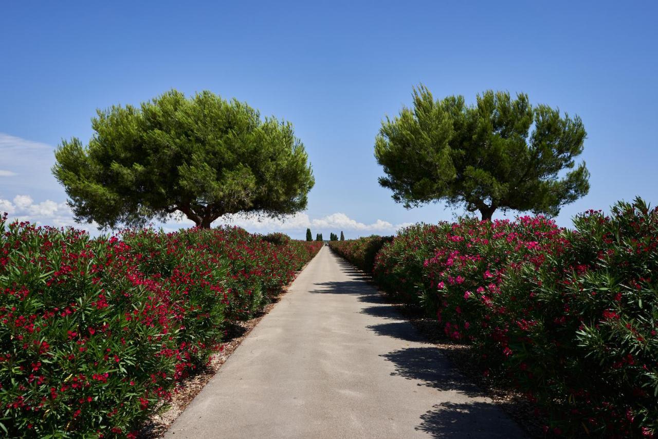 Masseria Bagnara Resort & Spa Marina di Lizzano Exteriör bild